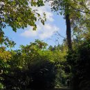 상예동-9 이미지