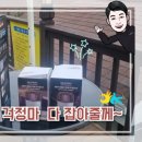 안면도덤앤더머 이미지