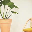 그루밍 나나 이미지