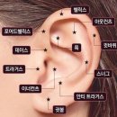 더블루(범계점) | 8월달 일을 내가 어 떻 게 기억하냐고