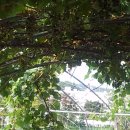 신등중학교 이미지