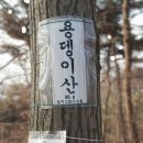 용산-154 Daum카페