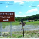 동이리경로당 Daum카페