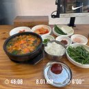 갓독 & 파스타 | 2025년 11월 / 얼마나 더 잘뛰고 싶은 건지 감도 안옴