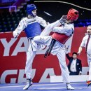 정상태권도 이미지