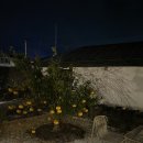 쉴틈올레 이미지