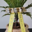 무실제일풍경채공인중개사사무소 이미지