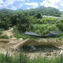 상록수 민박 이미지