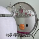 [ w. :: Wedding Diary #4 가봉스냅 Day 두번째 / with. 그레이스유]