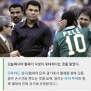 펠레스포츠 Daum카페