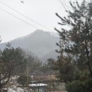 산새소리어린이집 | 가평 남이섬펜션 오블리비아테 펜션&amp;카라반