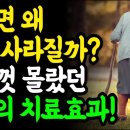 걸으면 왜 병이 사라질까? 지금껏 몰랐던 걷기의 치료 효과!! 이미지