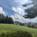 대관령로 이미지