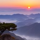 금산1길 이미지