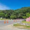 채선당플러스동두천점