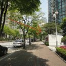 보행자전용도로 1-35 이미지