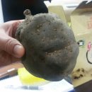 원기농장 이미지