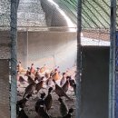 본연농장 이미지