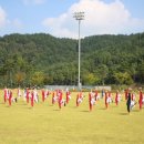 사랑가득태권도장 이미지