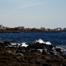 서림연대 이미지