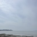 잡고굽고 | 태안 몽산포에서 갯벌체험으로 맛조개 잡고 캠핑 다녀온 후기