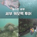 세부 캐모팩 투어 후기, 캐녀닝 모알보알 단독차량 (투어스타 내돈내산 후기)