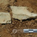 임실 가덕리 하가구석기유적 이미지