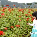 백일홍어린이공원 이미지