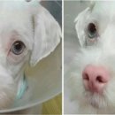 미소주유소 이미지