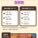 2025 단풍시기 이미지