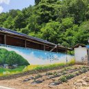 리틀포레스트 촬영지 이미지