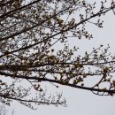 용산리 마을장터 이미지