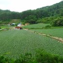 쌍전리마을회관 이미지