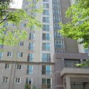 분당-206 이미지