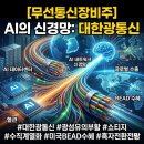 AI 혈관이 마른다고? '대한광통신' 덕분에 빛의 속도로 살아났어요!