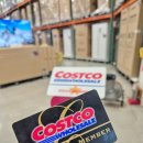 몽글몽글PET | 코스트코 공세점 캠핑갈 때 주류 구매하기 좋은곳 처음처럼 페트 사온 후기 + 가격 위치