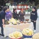 푸른1호태양광발전소 이미지