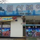 월산복어 이미지
