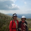 선암초등학교 이미지