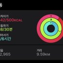 힘대로횟집