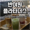 반야원 | [구례] 구례카페 추천🍃 정원형 대형카페 ‘반야원플라타너스’ 후기