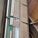 예진음악학원 이미지