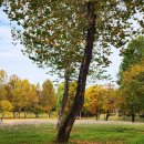 어린이대공원 이미지