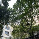 승일세탁소 | 방콕-아유타야 여행 05 (기차 타고 아유타야 - 반타이하우스 체크인)