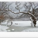 사람이랑 흙이랑 이미지