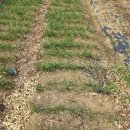 고요농장 이미지