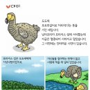 도도새(포르투칼어로 어리석다)는 뜻을 가진 새입니다, 우리는 미래를 준비하는 자녀가 되었으면 합니다!! 이미지