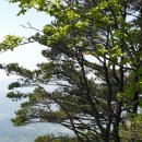 의령-의령-의령-D-1 이미지