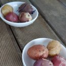 고양농장2 이미지