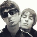 오아시스 이미지